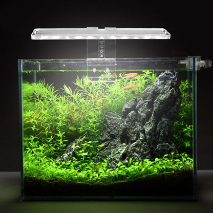 c2af85b3cfd529ba16a816fccb99ae66